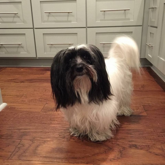 Meet your Posher, Kathy - Picture 1 of 1